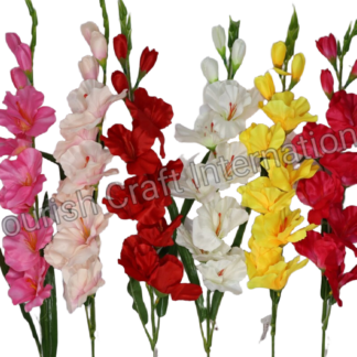 #1014 Gladiolus