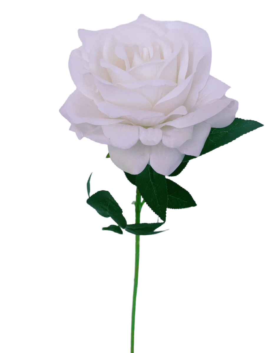 Spladed Single Roses #1013 Single Splendid Rose – flourish Craft International