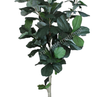 Fiddle Leaf Tree (#6025)