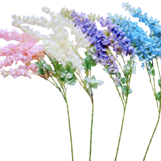 #1038 Cassia Fistnla