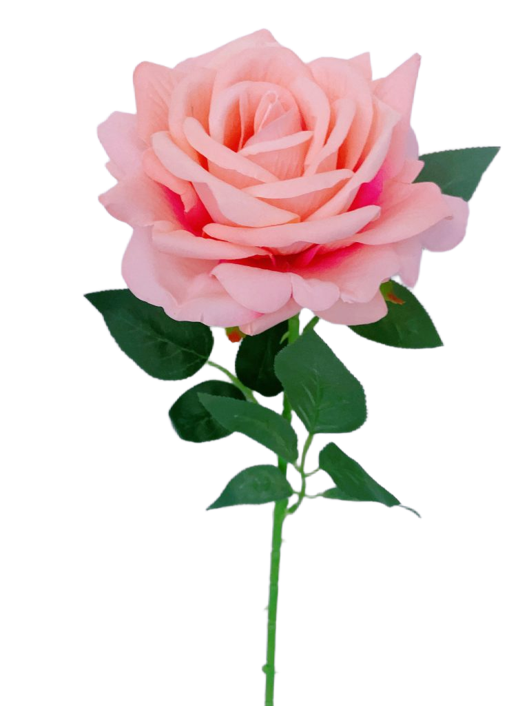 Splendid Red Roses #1013 Single Splendid Rose – flourish Craft International