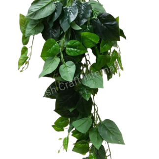 #3057 Hanging Leaf Bush