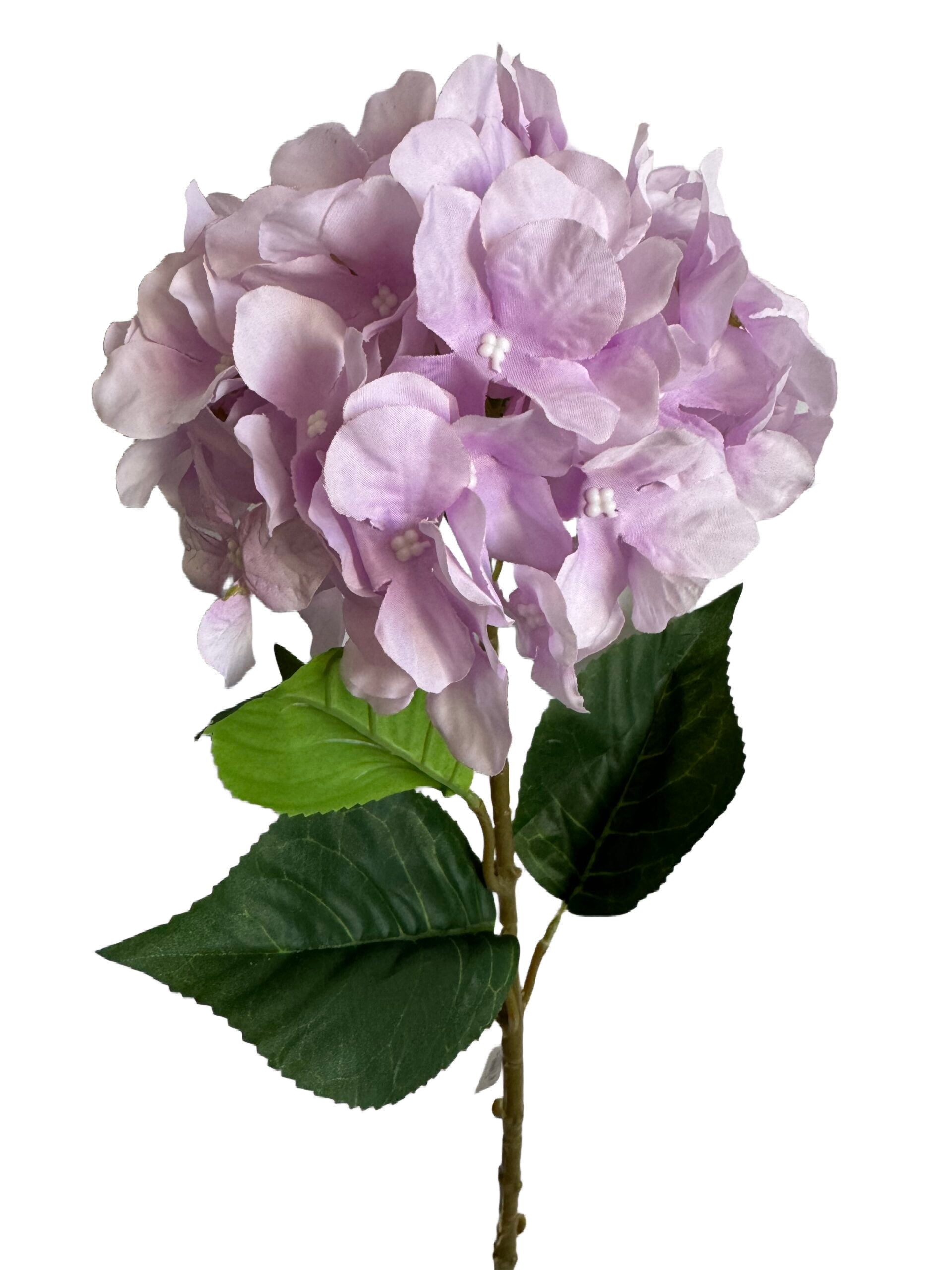 Hydrangea Stalk #1049 Hydrangea Stem – flourish Craft International